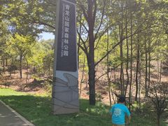 -青龙山国家森林公园