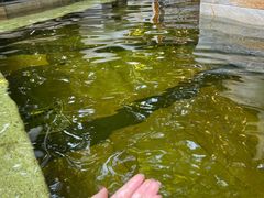 -碧水湾温泉