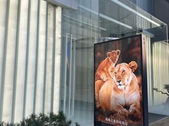 -罗红摄影艺术馆