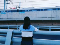 -海堤纪念公园