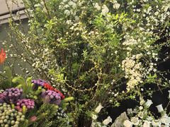 -花里花店(唐镇阳光天地店)