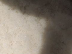 -半天妖烤鱼(丽金广场店)