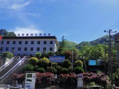 -王顺山国家森林公园