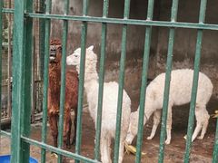 -揭东万竹园旅游景区