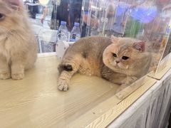 -宝安区图书馆(石岩街道分馆)
