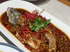 -杨氏青龙虾·羊蝎子(托乐嘉店)