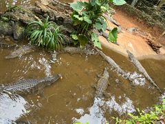 -海南热带野生动植物园