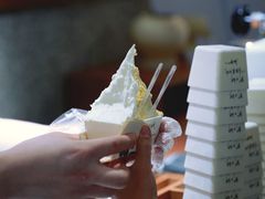 -野人先生Gelato(上海长宁龙之梦店)