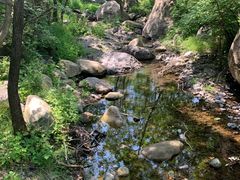 -云岫谷自然风景区