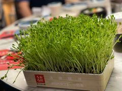 -左庭右院鲜牛肉火锅(浦江欢乐颂店)