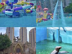 -海合安成都极地海洋公园