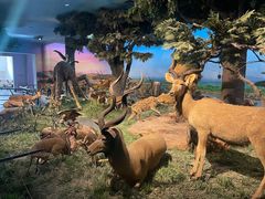 -国家自然博物馆