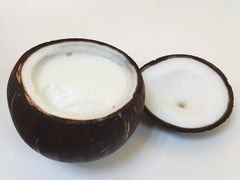 -志龙皇冠吃货椰子铺