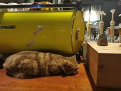 -咖法森林·咖啡  酒吧(天河店)