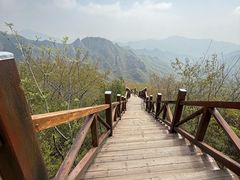 -大岭沟猕猴桃谷风景区