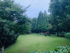 -上海市保健医疗中心(华东疗养院)