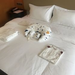 -明宇集团·积木枝芽母婴健康管理中心(天府店)