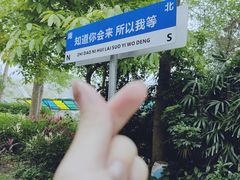 -东部华侨城