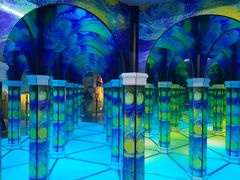 -天津梵高星空艺术馆(天河城旗舰店)