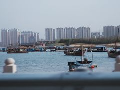 -养马岛旅游度假区