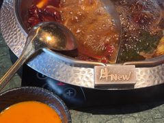 -牛New寿喜烧(金鹰世界店)