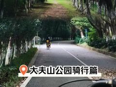 -番禺大夫山森林公园
