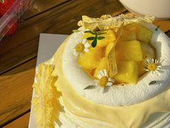 -卷心卷意·轻甜蛋糕(新光天地店)