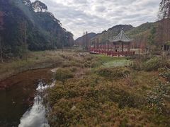 -广州市石门国家森林公园