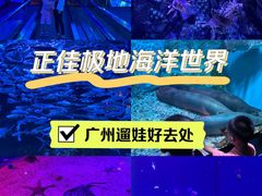 -正佳极地海洋世界