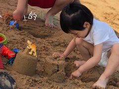 -日照海滨国家森林公园