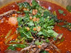 -张翻越·川渝冒菜·武汉黑鸭煲(城北万象城店)