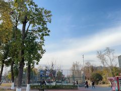 -两河城市森林公园