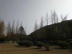 -汤山公园