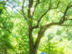 -杭州植物园