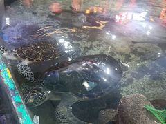 -鸿通城购物中心