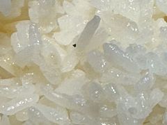 -胖哥俩肉蟹煲(福州仓山爱琴海店)