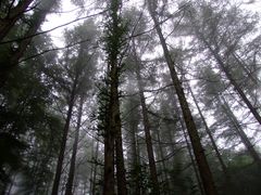 -洛阳白云山景区