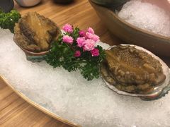 -一本钓鲔鱼屋