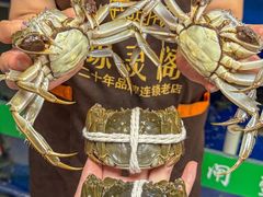-阳澄湖大闸蟹·琼灵阁牌品牌连锁(吴中总店)