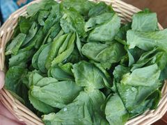 -淘米捞·米汤脆鲩鱼火锅(福田皇岗店)