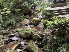 -莫干山风景区