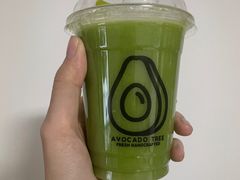 能量油梨果-油梨树AVOCADO TREE(嘉里中心店)