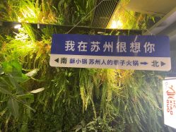 -蚂蚁造型沙龙