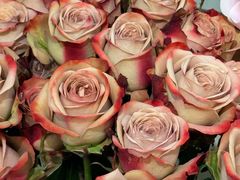 -花屿鲜花(淡水店)