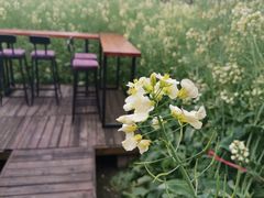-洪湖家庭农场·团建·露营·会议