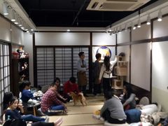 -逗柴咖啡屋·狗咖猫咖宠物桌游