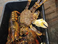 -鱼乐轩海鲜专门店