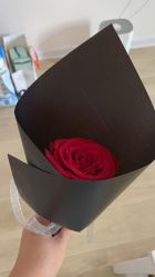 -诗安国际母婴会所 月子会所中心(市政府店)