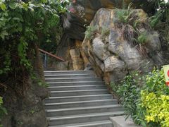 -金鸡山公园