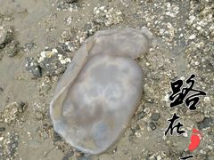 -三娘湾旅游风景区